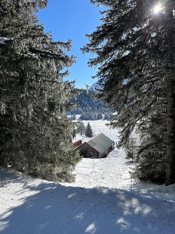 Chamrousse Appart 8 Personnes Au Pied Des Pistes Exterior foto